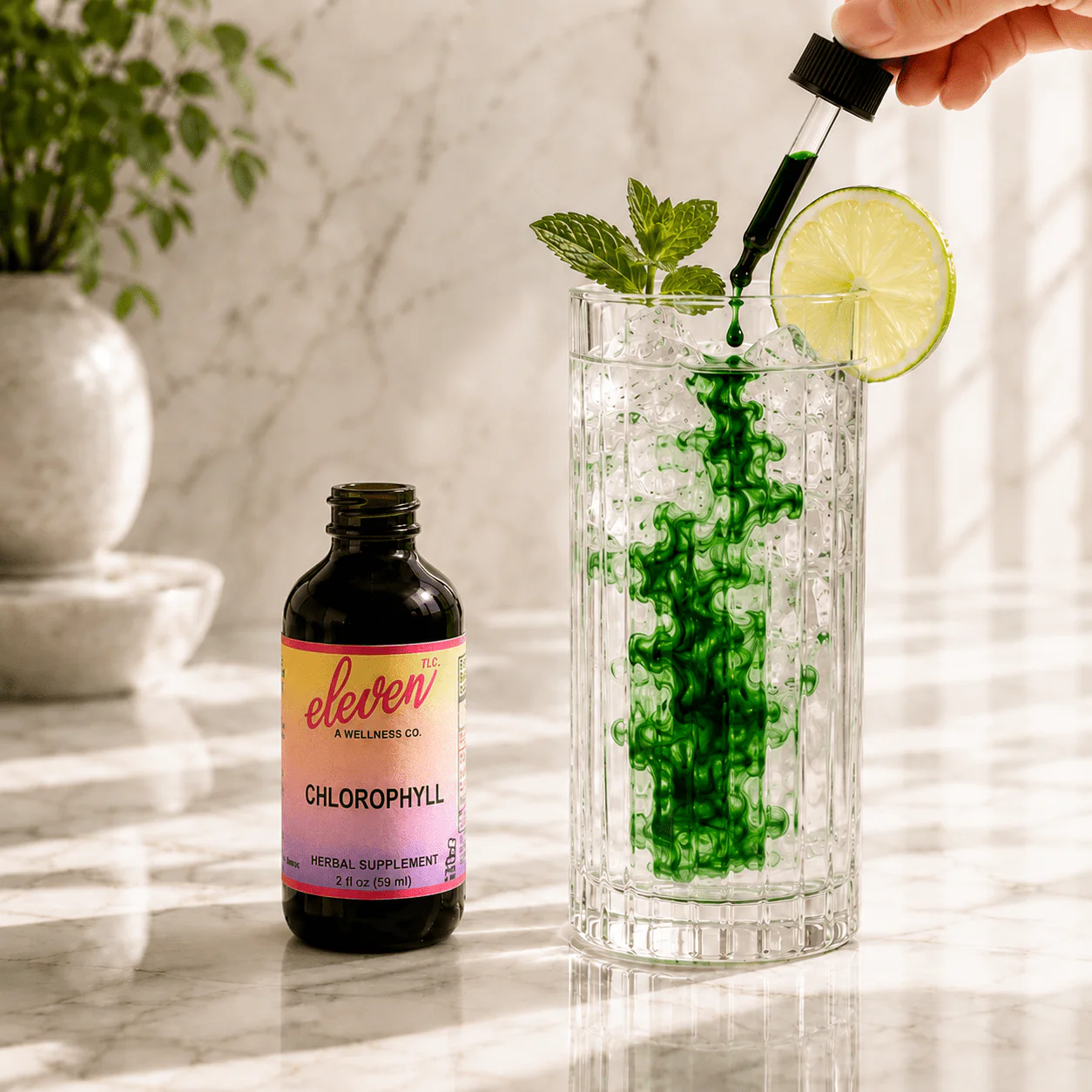 Chlorophyll Alcohol Free Tincture | 2 oz - Image 2