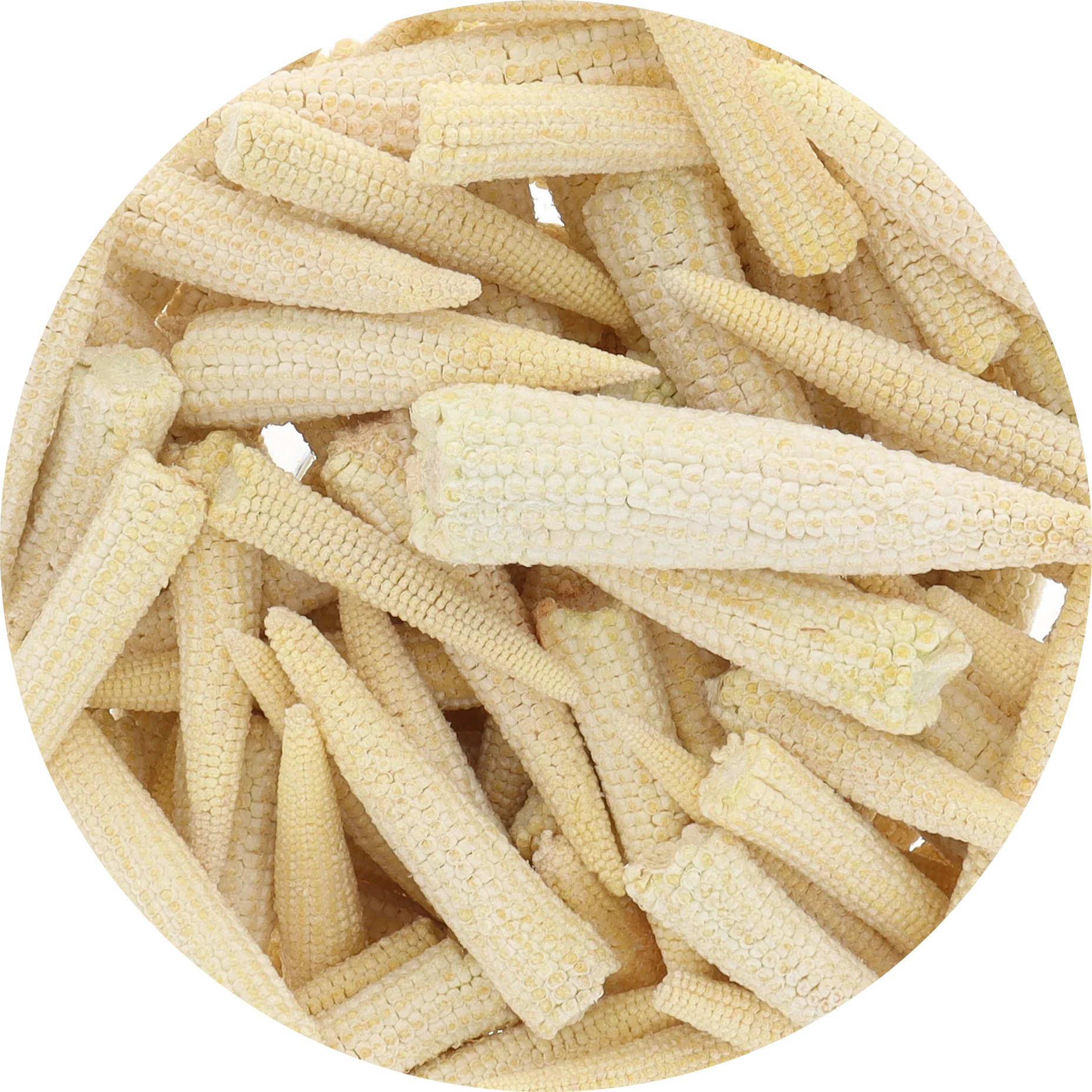 Freeze Dried Baby Corn - Image 6
