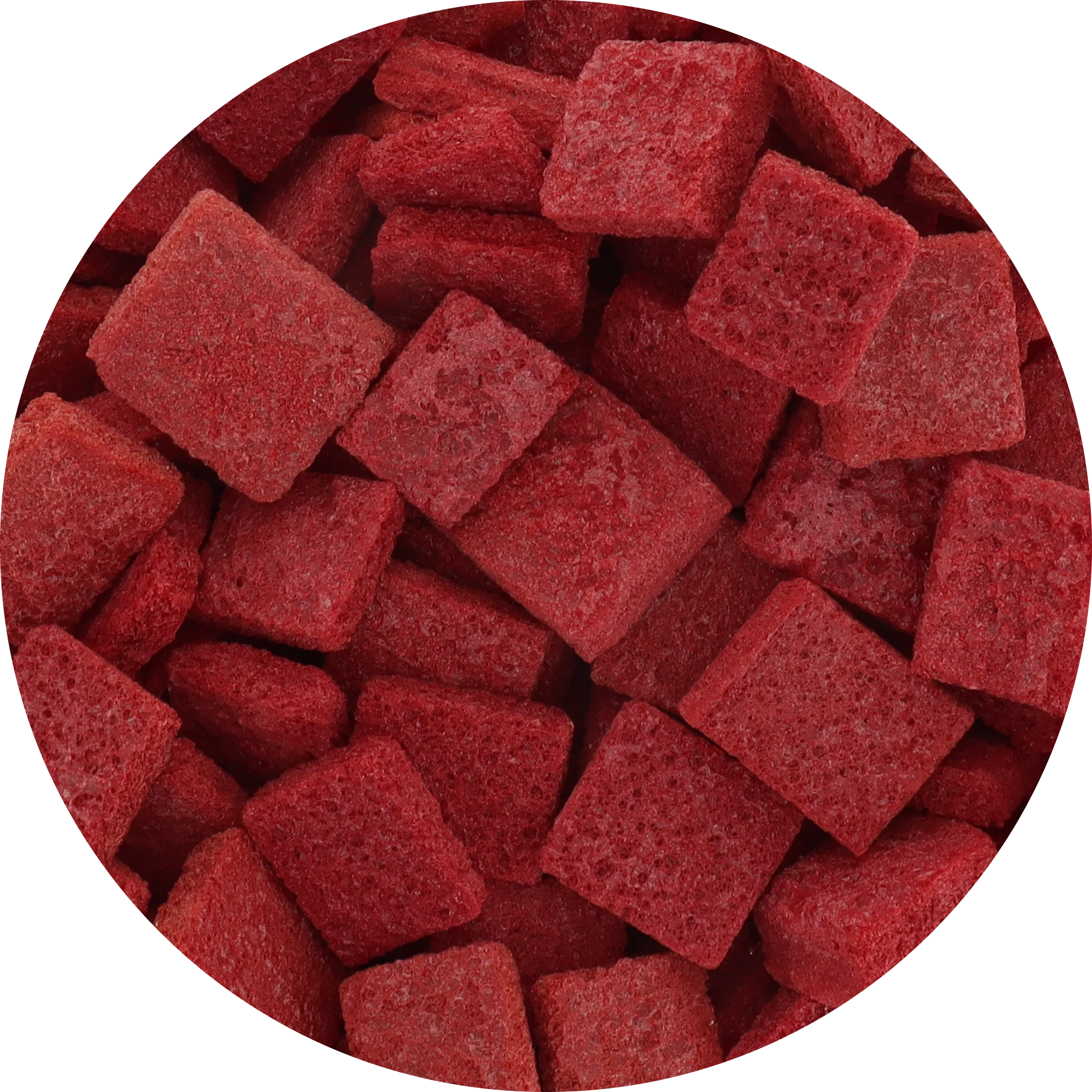 Freeze Dried Cactus Fruit (Prickly Pear) - Image 6