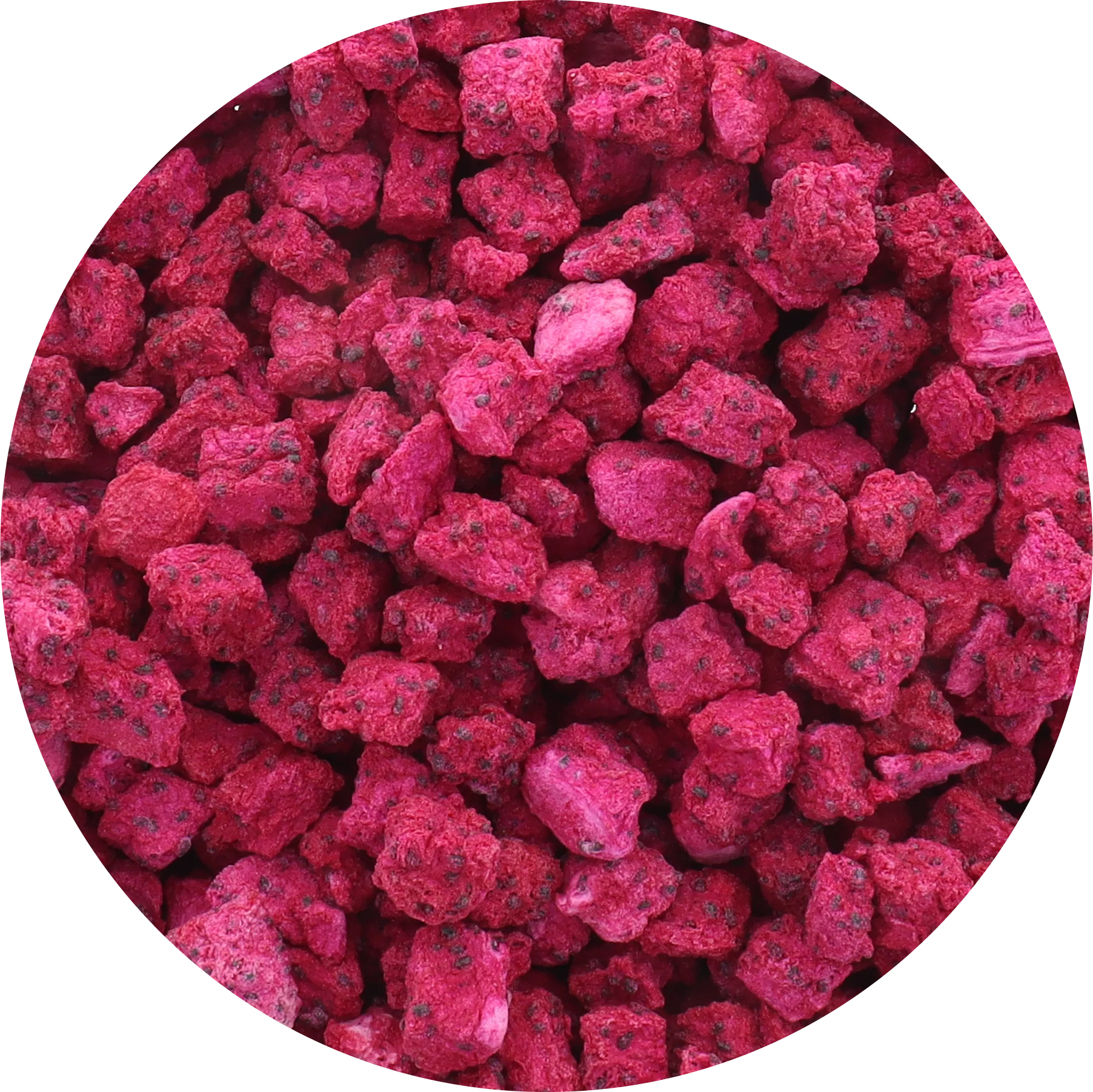 Freeze Dried Organic Red Dragon Fruit - Image 5