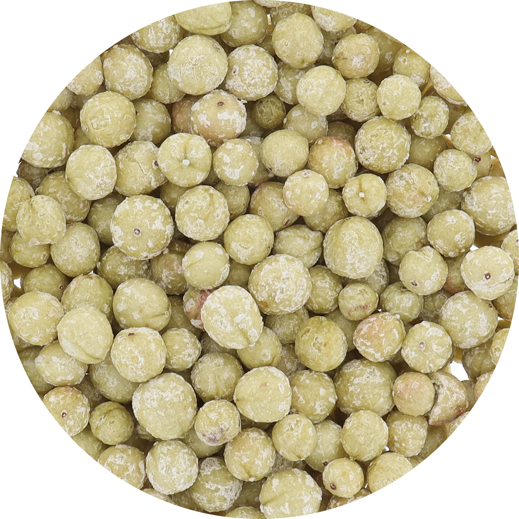 Freeze Dried Organic Green Gooseberries - Image 6