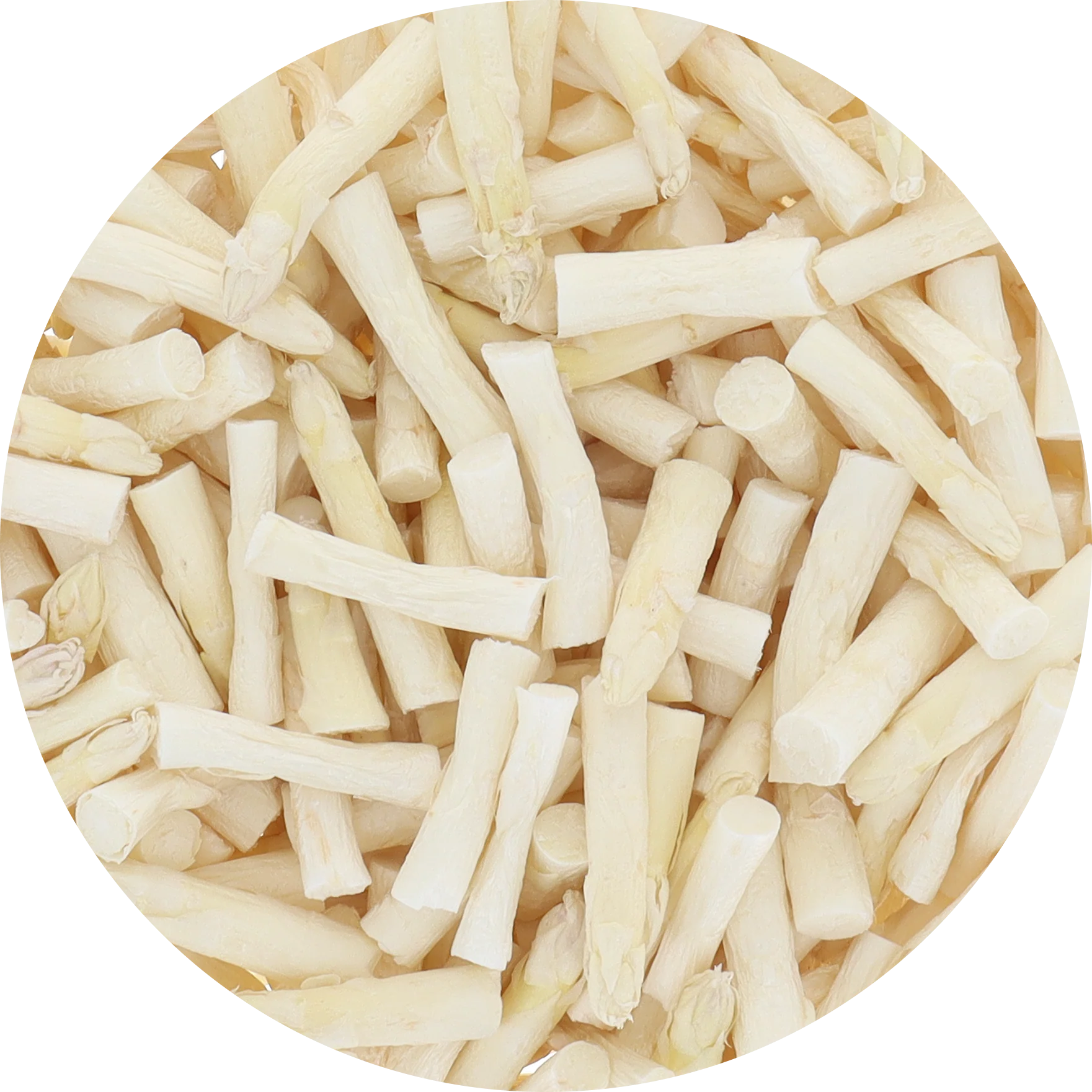 Freeze Dried White Asparagus - Image 6