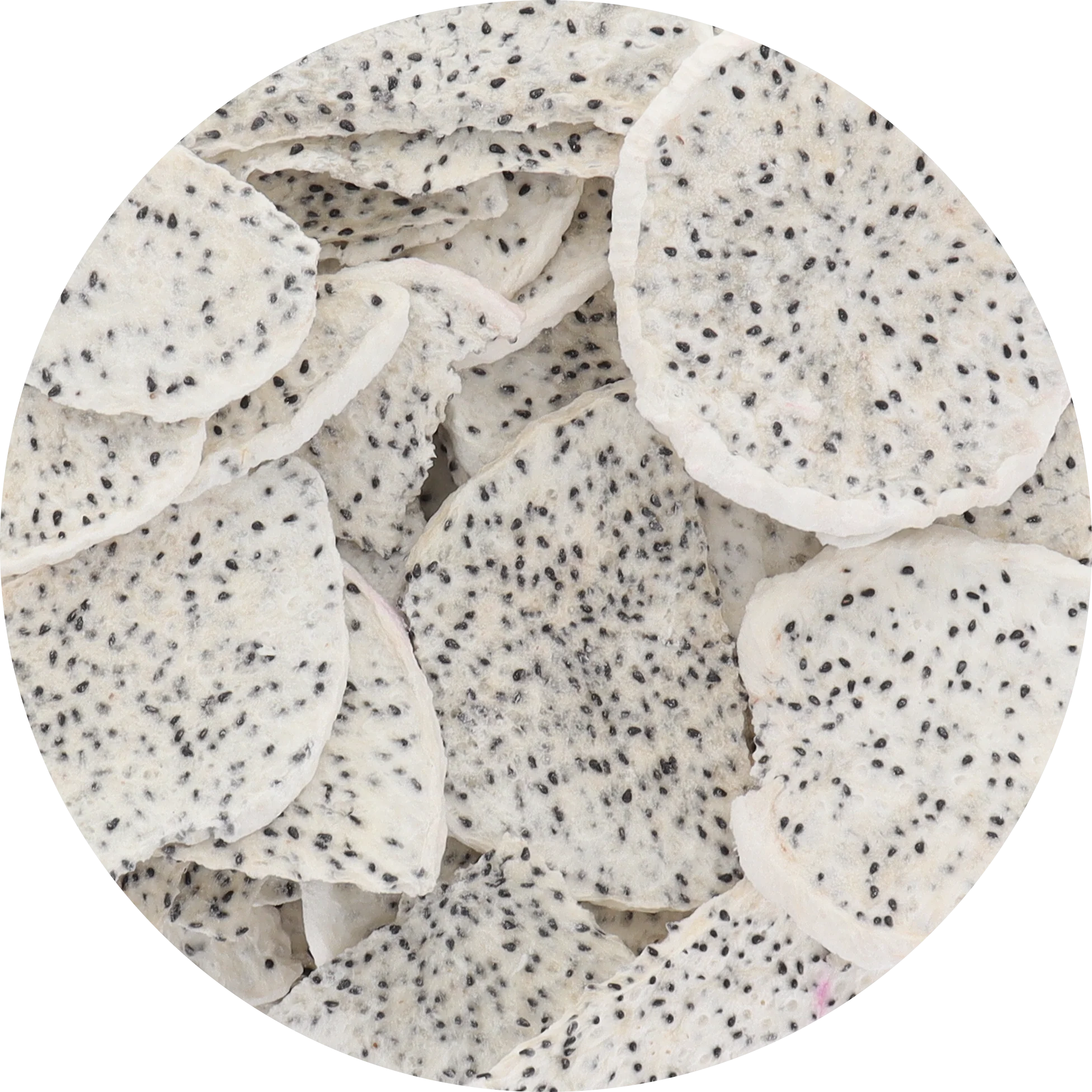 Freeze Dried White Dragon Fruit Slices - Image 7
