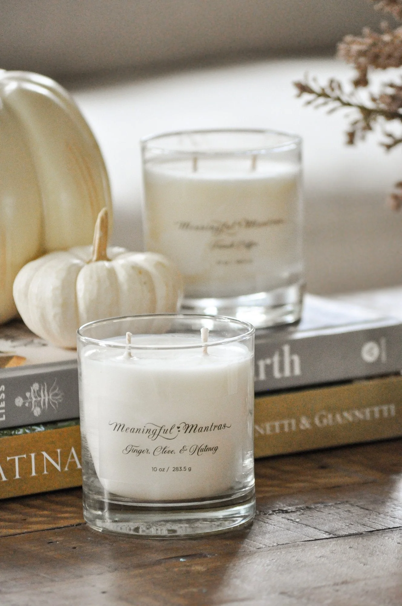 Ginger, Clove, & Nutmeg 10oz Minimal Aromatherapy Candle - Image 3