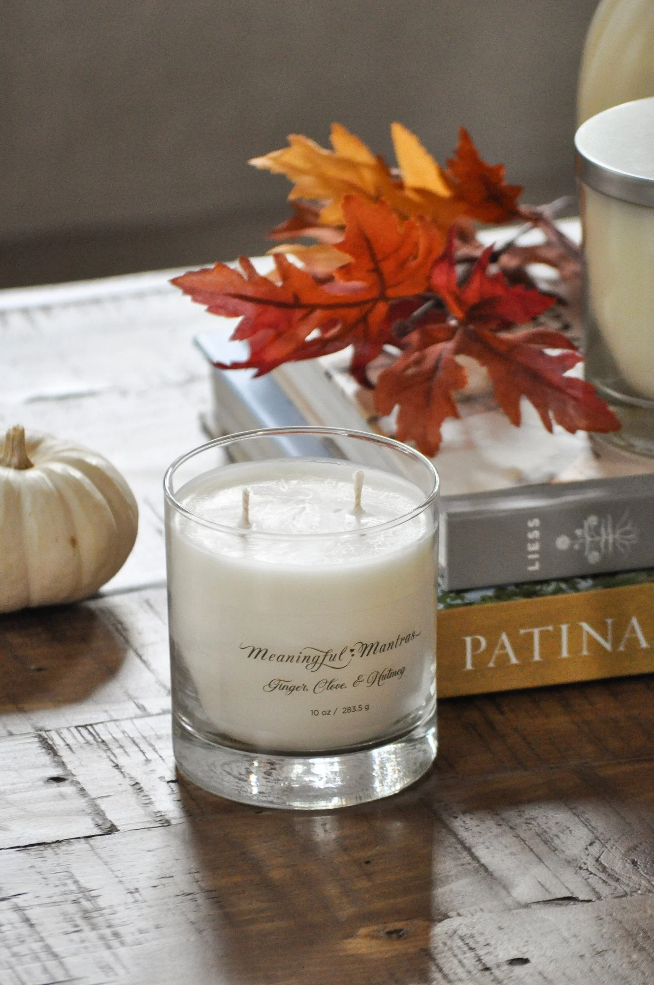 Ginger, Clove, & Nutmeg 10oz Minimal Aromatherapy Candle - Image 4