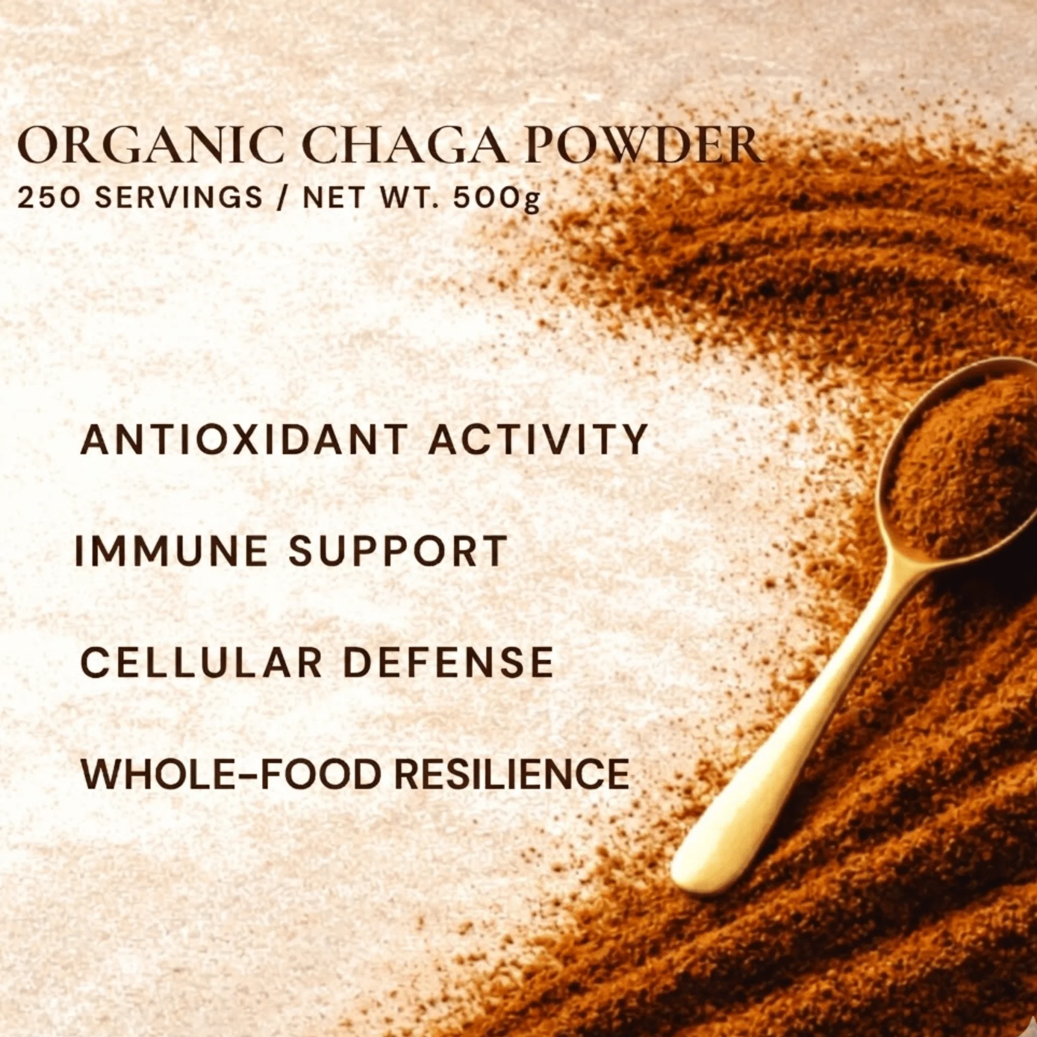 Organic Chaga Mushroom Powder — Foodservice 500g - Image 5