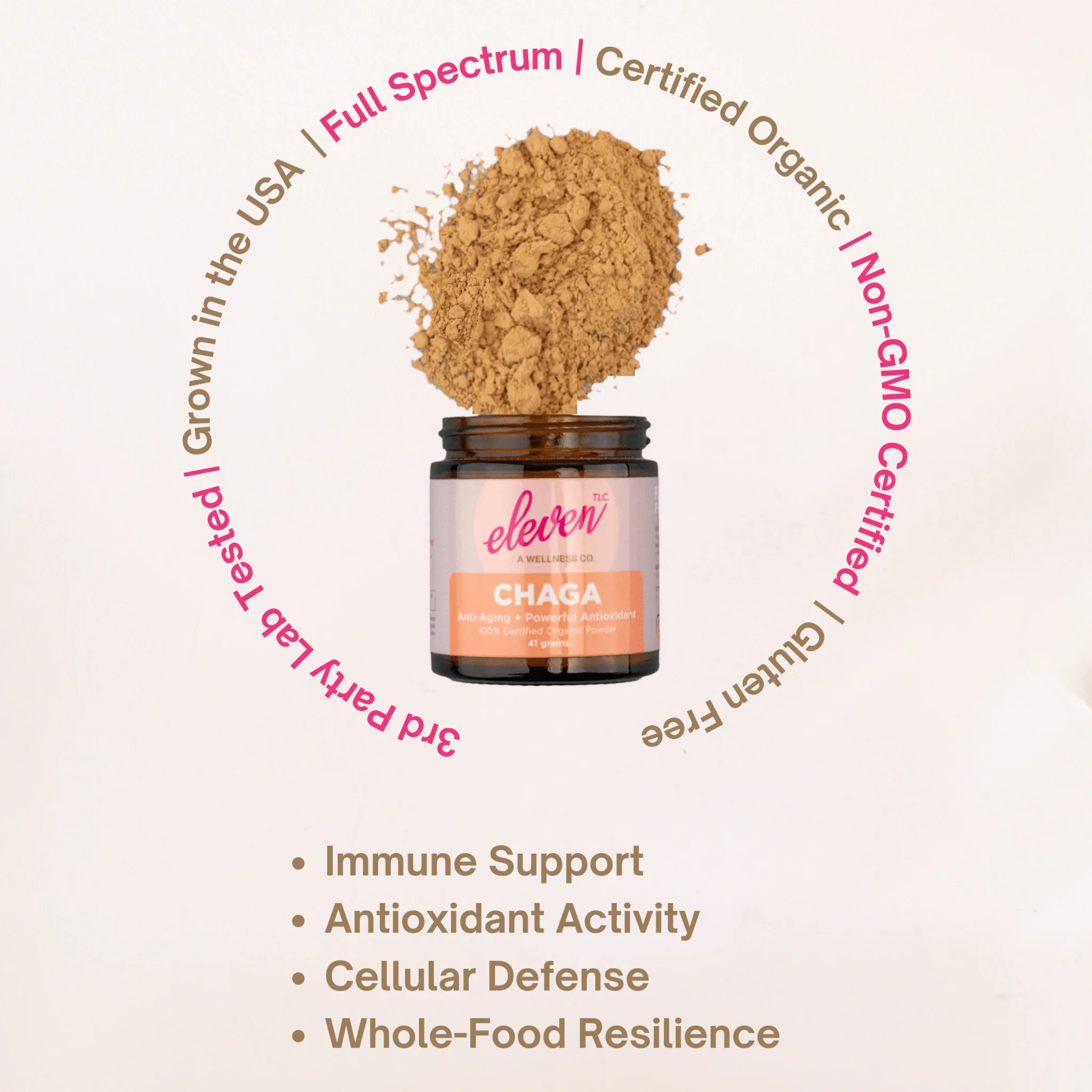 Organic Chaga Mushroom Powder - Image 4