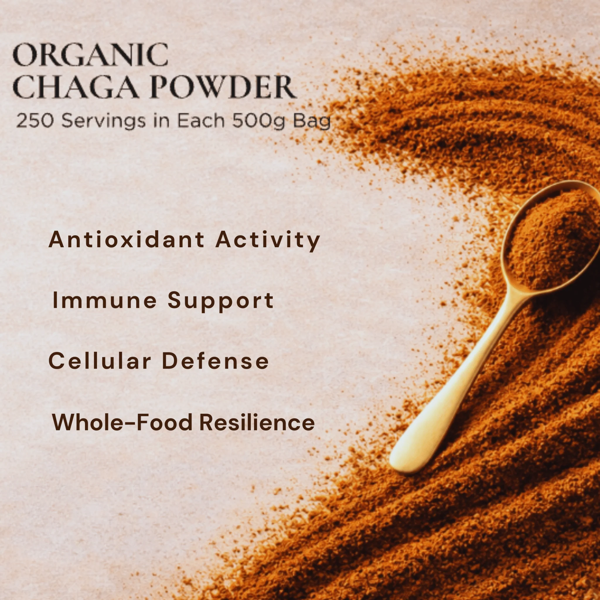 Organic Chaga Mushroom Powder - Image 5