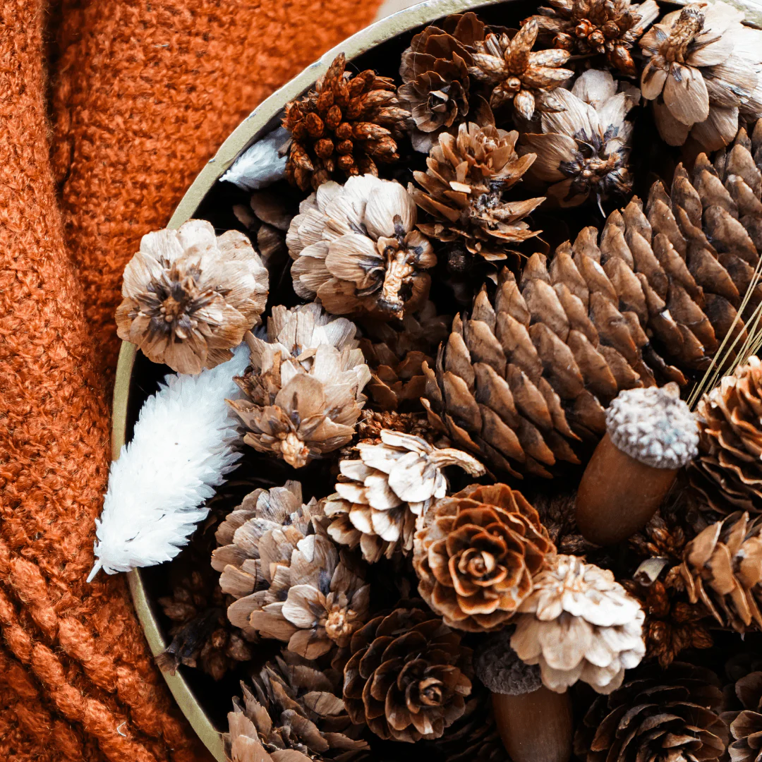 Pumpkin Spice 100% Natural Potpourri - Image 2