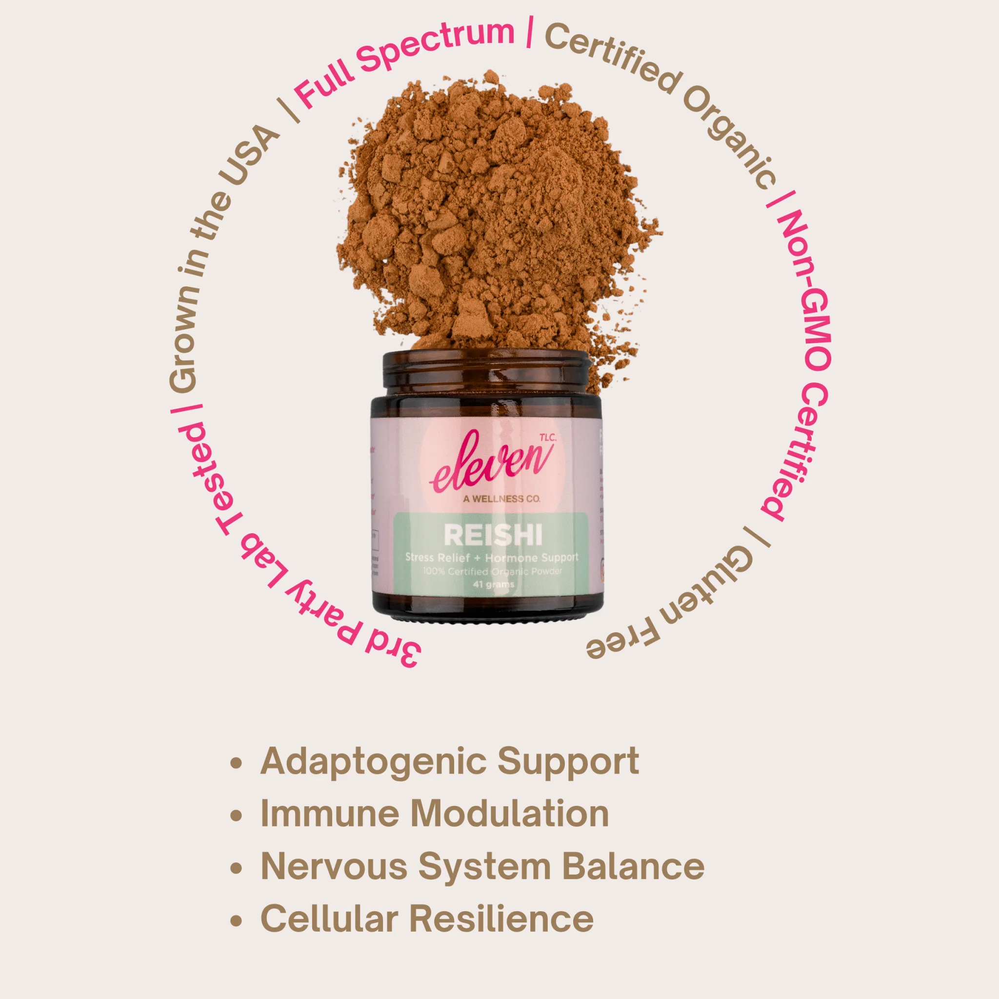 Organic Reishi Mushroom Powder - Image 5