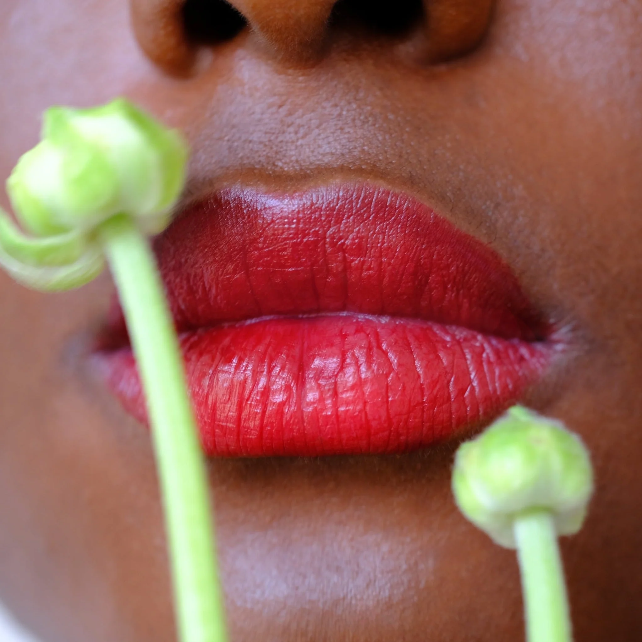 Vegan Multistick Makeup for Cheeks & Lips - Image 12